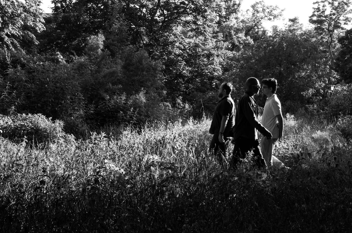 Walk in the Park