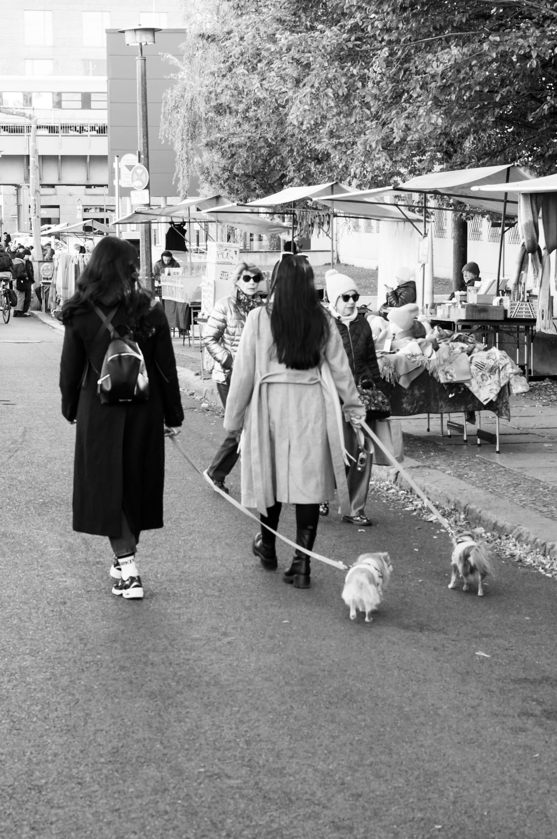Stroll